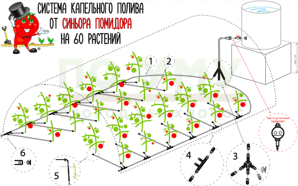 Система капельного полива от Синьора Помидора без автоматики в Санкт-Петербурге